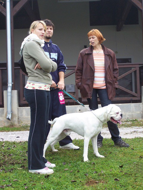 4. OBF - 11. 10. 2008 - foto povečava