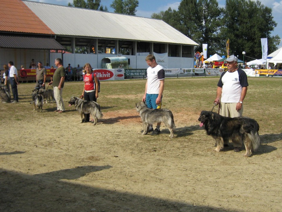 Foto: Vesenjak