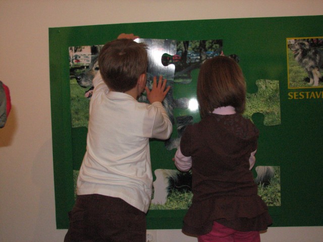 2009:Hermanov muzej, Celje - foto povečava