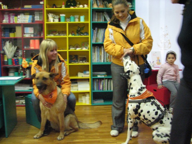 2009:Hermanov muzej, Celje - foto povečava