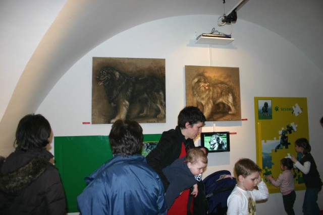 2009:Hermanov muzej, Celje - foto