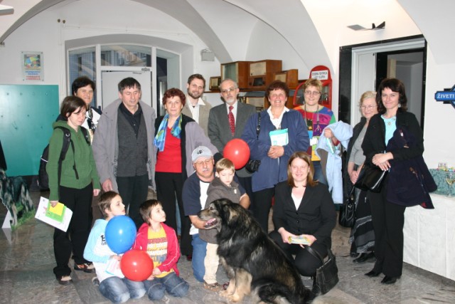 2009:Hermanov muzej, Celje - foto povečava