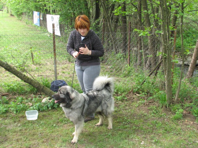 2009: Vzrejni pregled v Ljubljani - foto povečava