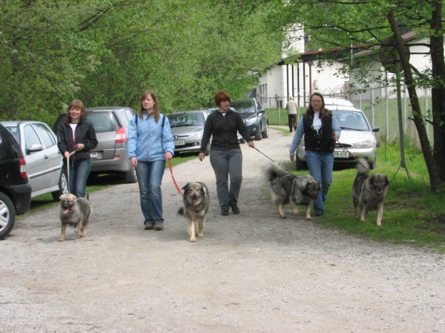 2009: Vzrejni pregled v Ljubljani - foto