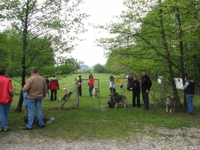 2009: Vzrejni pregled v Ljubljani - foto