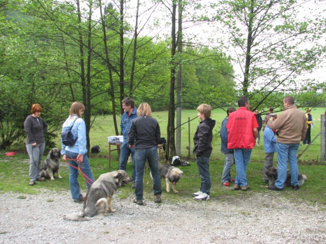 2009: Vzrejni pregled v Ljubljani - foto