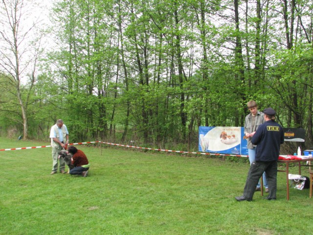 2009: Vzrejni pregled v Ljubljani - foto