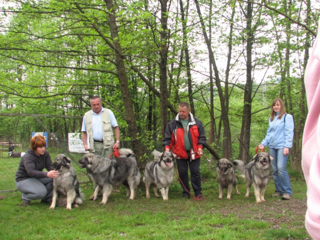 2009: Vzrejni pregled v Ljubljani - foto povečava