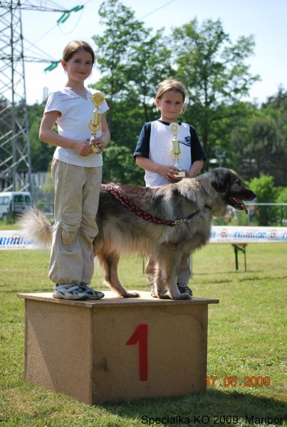 2009_Specialna razstava KO - DLVKOS  - foto povečava