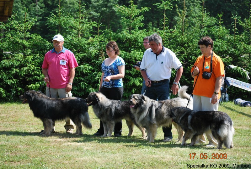 2009_Specialna razstava KO - DLVKOS  - foto povečava