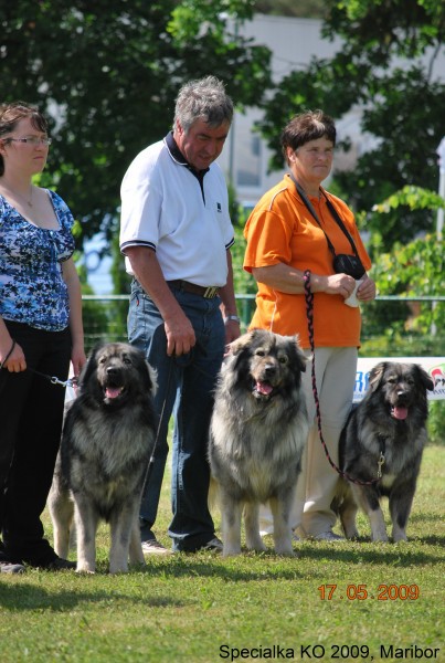 2009_Specialna razstava KO - DLVKOS  - foto povečava