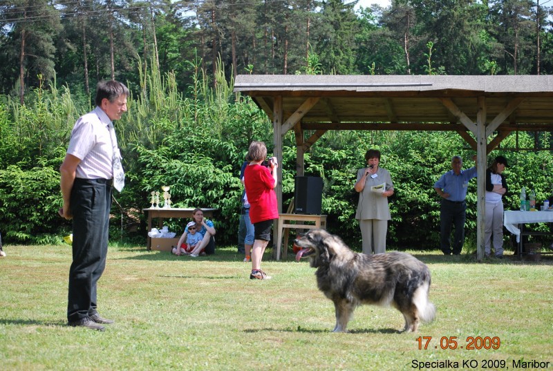 2009_Specialna razstava KO - DLVKOS  - foto povečava