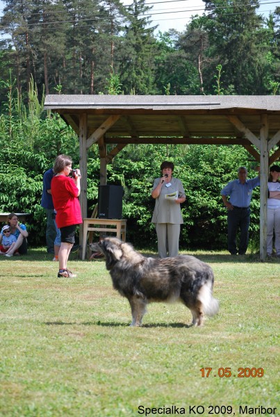 2009_Specialna razstava KO - DLVKOS  - foto povečava