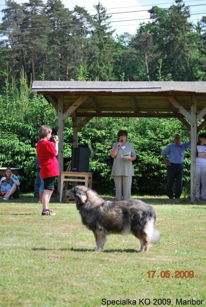 2009_Specialna razstava KO - DLVKOS  - foto povečava