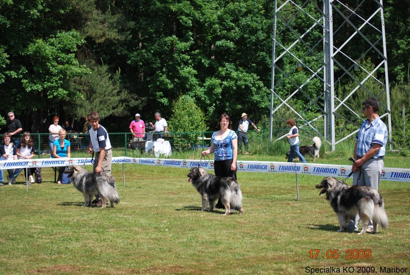 2009_Specialna razstava KO - DLVKOS  - foto povečava