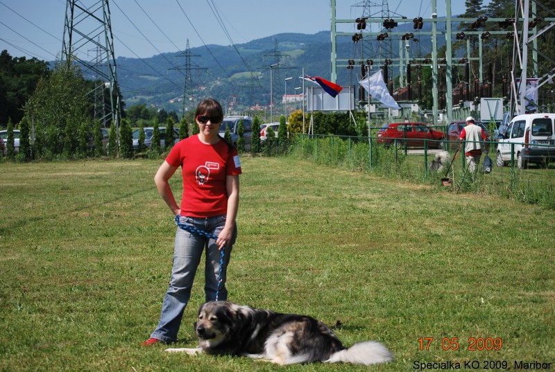 2009_Specialna razstava KO - DLVKOS  - foto povečava