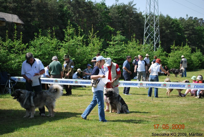 2009_Specialna razstava KO - DLVKOS  - foto povečava