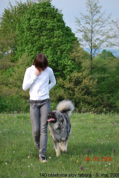 2009: 140 obletnica tabora na Kalcu - foto povečava