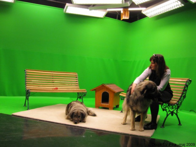 2009: TV PIKA - foto