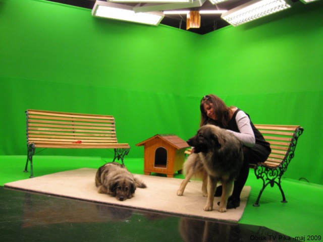 2009: TV PIKA - foto