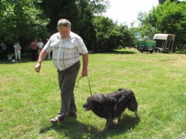 2009: Ovčje kozji bal-grad Borl - foto