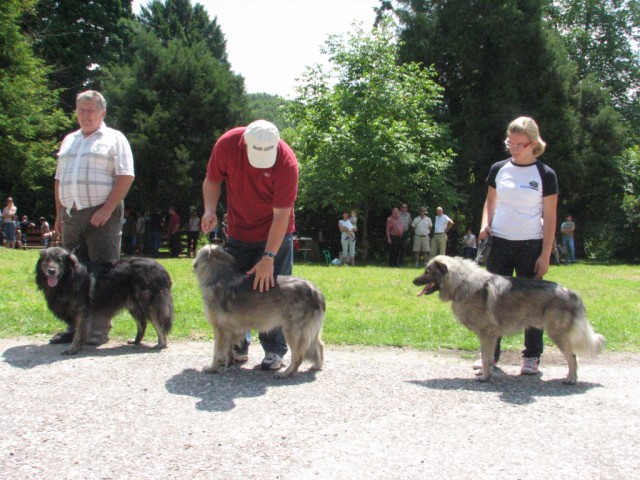 2009: Ovčje kozji bal-grad Borl - foto povečava