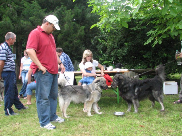 2009: Ovčje kozji bal-grad Borl - foto