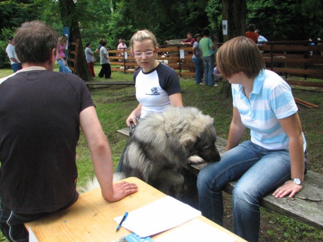 2009: Ovčje kozji bal-grad Borl - foto povečava