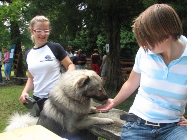 2009: Ovčje kozji bal-grad Borl - foto
