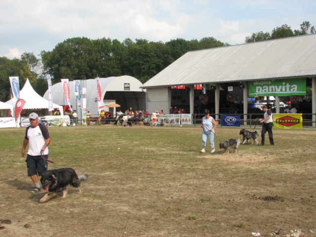 2009: Pomurski sejem v Gornji Radgoni - foto