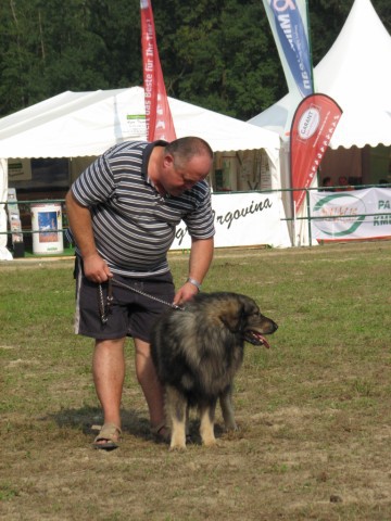 2009: Pomurski sejem v Gornji Radgoni - foto povečava