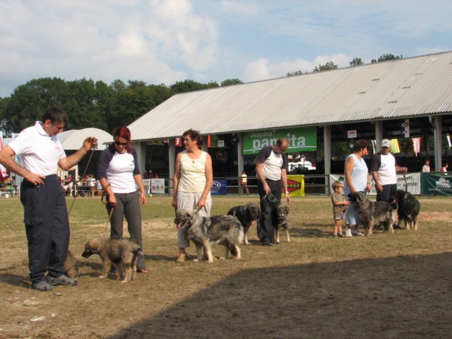 2009: Pomurski sejem v Gornji Radgoni - foto