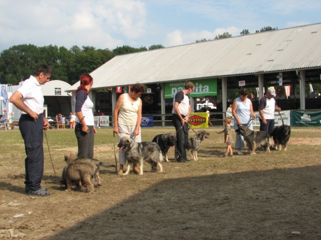 2009: Pomurski sejem v Gornji Radgoni - foto