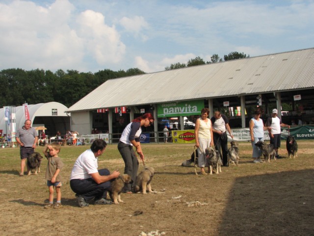 2009: Pomurski sejem v Gornji Radgoni - foto