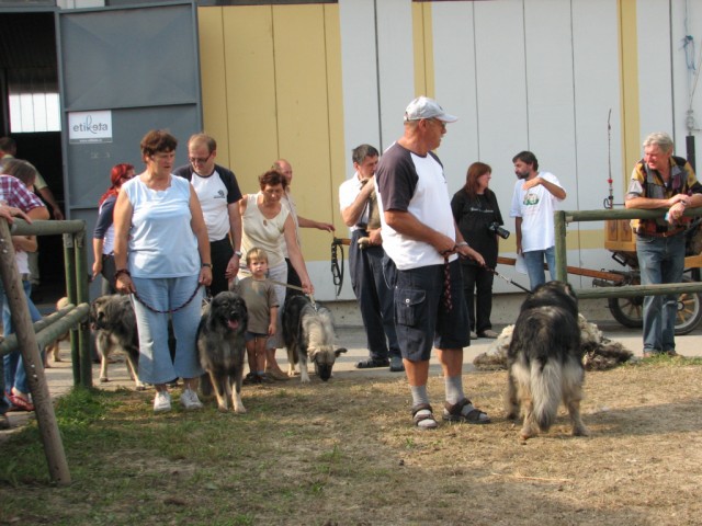2009: Pomurski sejem v Gornji Radgoni - foto