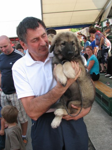 2009: Pomurski sejem v Gornji Radgoni - foto povečava