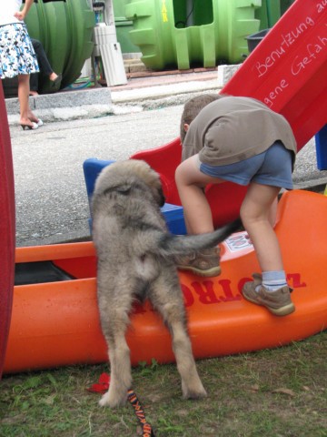 2009: Pomurski sejem v Gornji Radgoni - foto