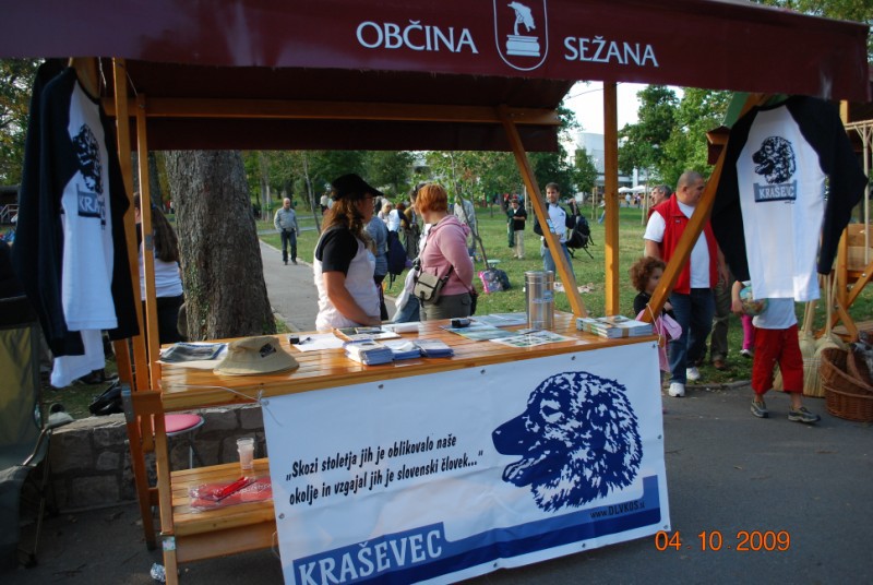 2009 Odprta vrata kobilarne Lipica - foto povečava