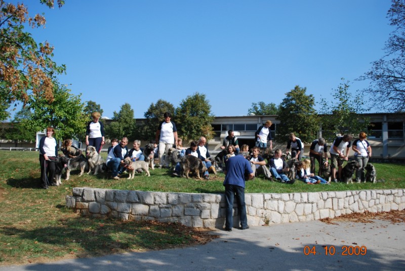 2009 Odprta vrata kobilarne Lipica - foto povečava