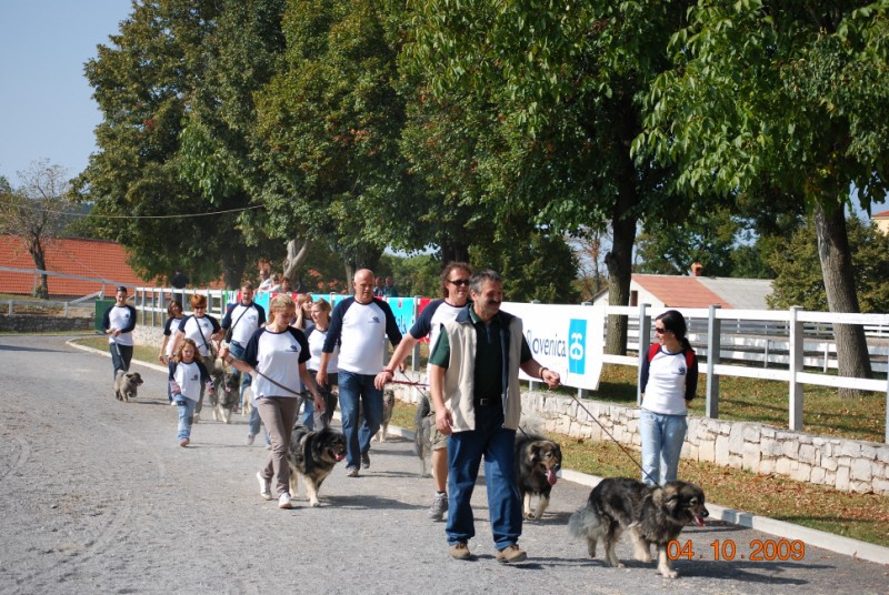 2009 Odprta vrata kobilarne Lipica - foto povečava