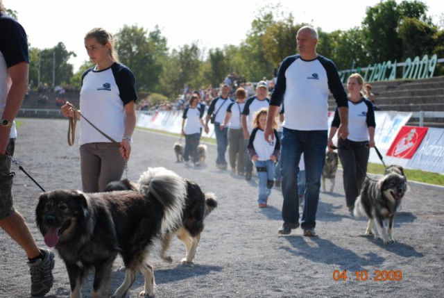 2009 Odprta vrata kobilarne Lipica - foto