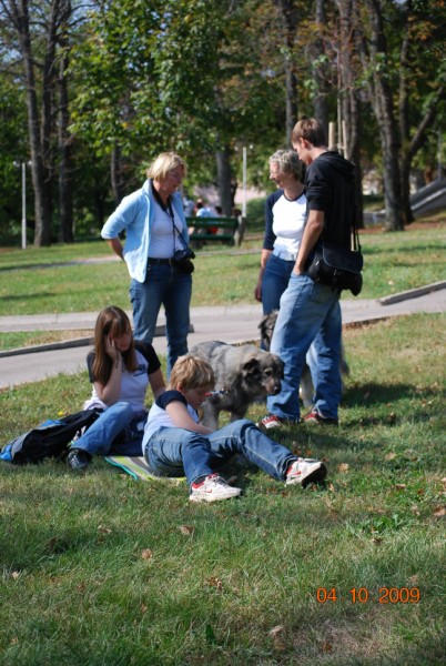 2009 Odprta vrata kobilarne Lipica - foto povečava