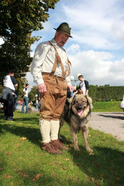 2010 odprta vrata kobilarne lipica - foto