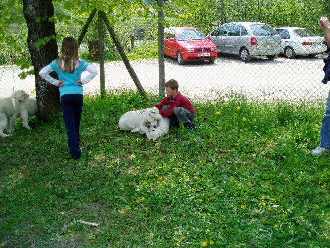 Srecanje legla 6.5.2006 - foto povečava