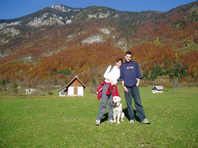 Bohinj oktober06 - foto povečava