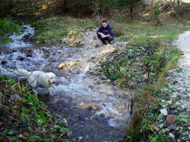 Bohinj oktober06 - foto povečava