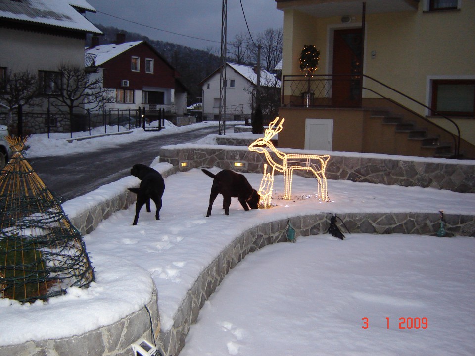 Ena&lun - foto povečava