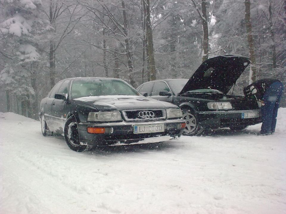 Zima 2009 - foto povečava
