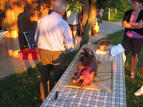 Košarka-piknik - foto