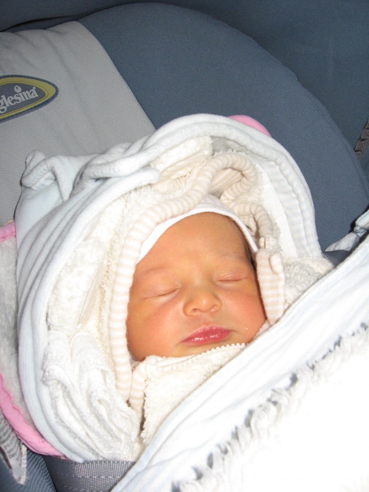 Odhod domov (18. 12. 2008) - foto povečava